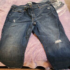 Distressed Women's Jeans 26S